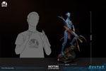 Neytiri View 3