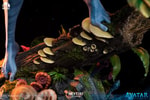 Neytiri View 9