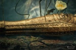Arm of Malenia (Prototype Shown) View 18