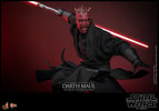 Darth Maul Collector Edition (Prototype Shown) View 11