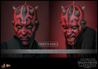 Darth Maul Collector Edition (Prototype Shown) View 14