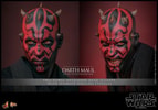 Two facial portraits of Darth Maul (Collector Edition) showcasing a serious expression and a menacing face with red and black facial markings. Collector Edition (Prototype Shown) View 14