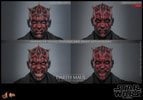 Darth Maul Collector Edition (Prototype Shown) View 15
