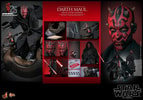 Multiple portraits of Darth Maul (Sith Speeder) showcasing various expressions and headsculpts, along with details of the box contents. Collector Edition (Prototype Shown) View 21