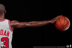 Michael Jordan "Wings" (Prototype Shown) View 13