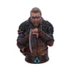 Eivor Collector Edition View 4