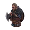 Eivor Collector Edition View 5