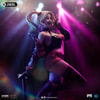 Harley Quinn (Gotham City Sirens) Collector Edition (Prototype Shown) View 1