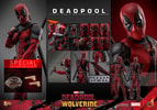 Deadpool Sixth Scale Action Figure by Hot Toys, showcasing 360 full-body portraits and smaller images of exclusive items included in the box. (Prototype Shown) View 13