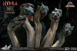 Hydra Collector Edition (Prototype Shown) View 5