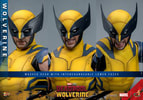 Wolverine Sixth Scale Action Figure by Hot Toys: features three interchangeable masked heads and lower face options. Collector Edition (Prototype Shown) View 12