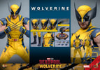 Wolverine Sixth Scale Action Figure by Hot Toys: full body views and close-up portraits, showing contents of the box. Collector Edition (Prototype Shown) View 13