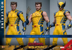 Wolverine Sixth Scale Action Figure by Hot Toys: showcasing three display styles: full body suit, damaged suit no mask, and full body suit with mask and no sleeves. (Prototype Shown) View 11