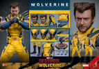 Wolverine Sixth Scale Action Figure by Hot Toys: showcasing all parts included in the deluxe version box. (Prototype Shown) View 13