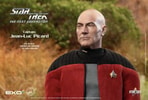 Captain Jean-Luc Picard (Prototype Shown) View 7
