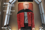 Captain Jean-Luc Picard (Prototype Shown) View 8