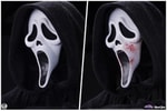 Ghost Face (Prototype Shown) View 14