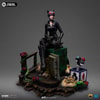 Catwoman (Gotham City Sirens) Deluxe (Prototype Shown) View 5