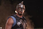 Maximus (Prototype Shown) View 11
