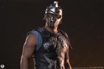 Maximus (Prototype Shown) View 12