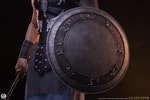 Maximus (Prototype Shown) View 17