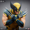 Wolverine (Prototype Shown) View 6