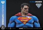 Superman (Bonus Version) (Prototype Shown) View 11