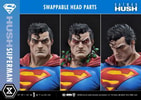 Superman (Bonus Version) (Prototype Shown) View 12