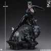 Catwoman (Prototype Shown) View 9