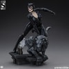 Catwoman (Prototype Shown) View 10