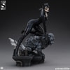 Catwoman (Prototype Shown) View 15