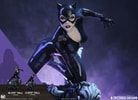 Catwoman (Prototype Shown) View 1