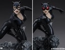 Catwoman (Prototype Shown) View 7