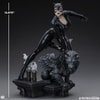 Catwoman (Prototype Shown) View 9