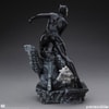 Catwoman (Prototype Shown) View 13