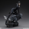 Catwoman (Prototype Shown) View 15