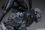 Catwoman (Prototype Shown) View 16