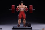 Ryu: Powerlifting Collector Edition (Prototype Shown) View 7