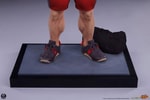 Ryu: Powerlifting Collector Edition (Prototype Shown) View 15