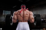Ryu: Powerlifting (Battle Edition) (Prototype Shown) View 4