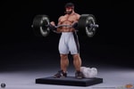 Ryu: Powerlifting (Battle Edition) (Prototype Shown) View 8