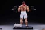 Ryu: Powerlifting (Battle Edition) (Prototype Shown) View 10