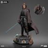 Anakin Skywalker (Prototype Shown) View 6