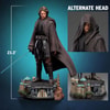 Anakin Skywalker (Prototype Shown) View 2
