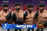 Battle Ryu (Prototype Shown) View 21