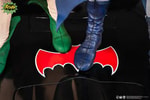 Batman and Robin (Prototype Shown) View 14