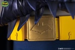 Batman and Robin (Prototype Shown) View 18