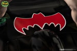 Batman and Robin (Prototype Shown) View 10