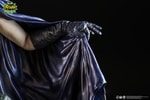 Batman and Robin (Prototype Shown) View 13