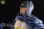 Batman and Robin (Prototype Shown) View 14